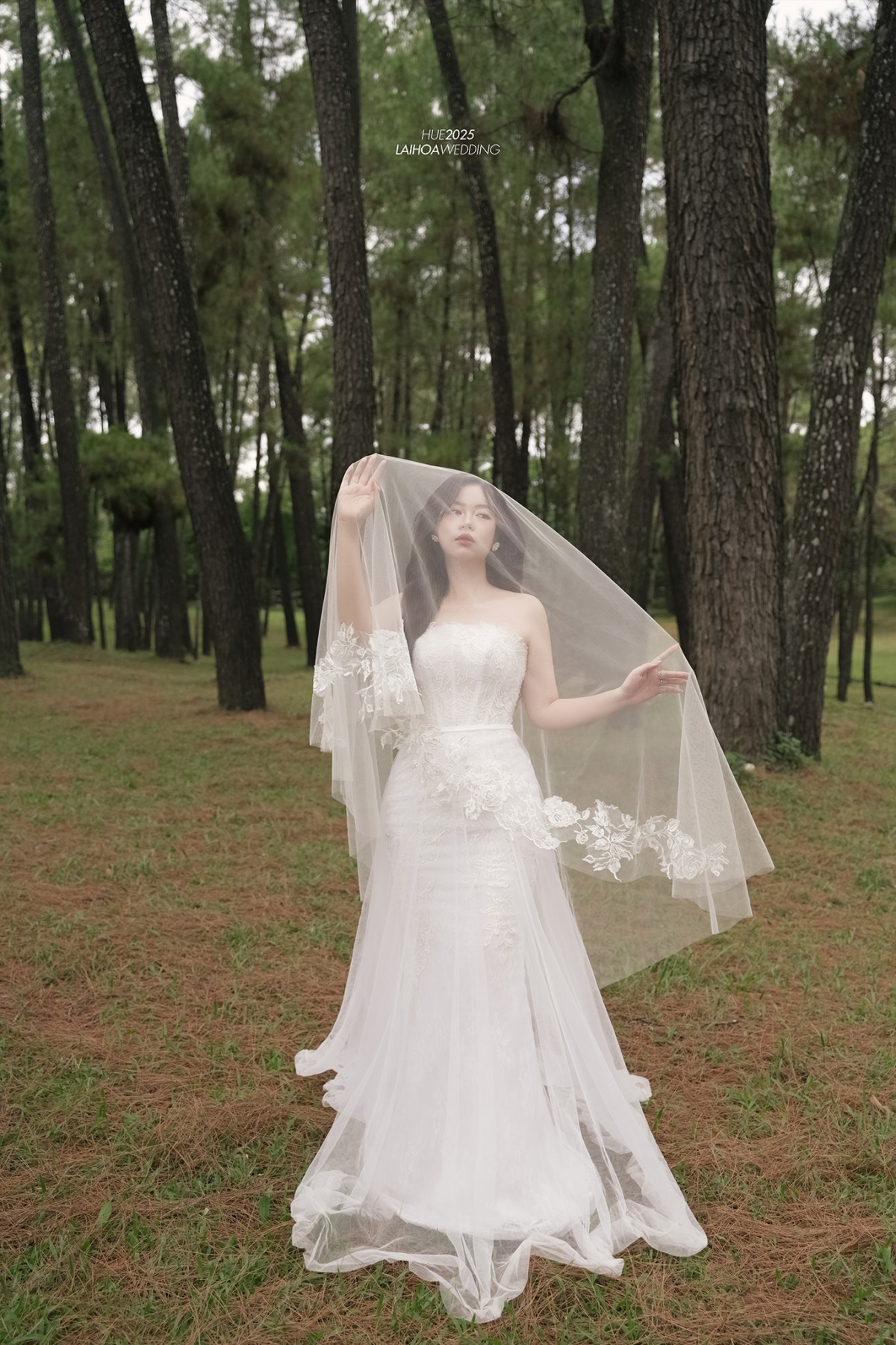 Click vào khung hình để xem ảnh full size